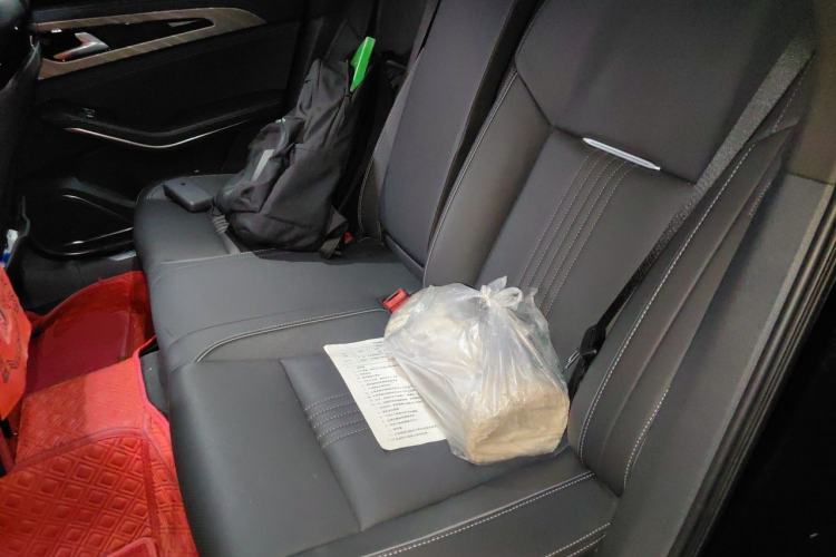 Used Hongqi H9 2020 2.0T Smart Connect Flagship Edition Left Rear Seat
