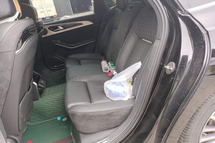 Used Hongqi H9 2020 3.0T Smart Connect Flagship Edition Left Rear Seat
