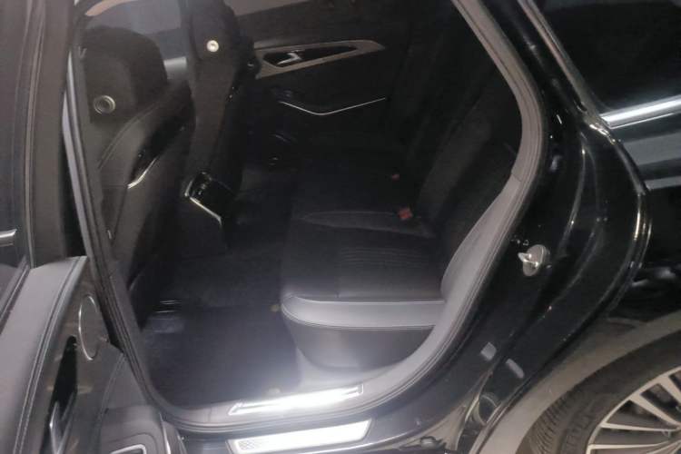 Used Hongqi H9 2020 2.0T Smart Connect Flagship Edition Left Rear Seat
