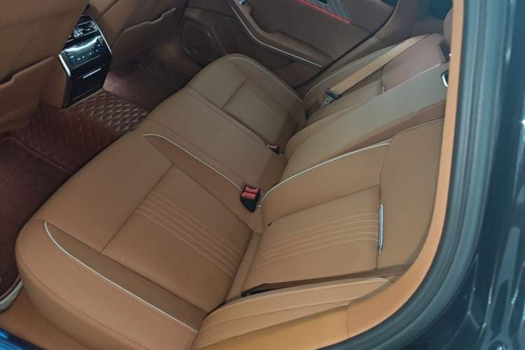 Used Hongqi H9 2020 2.0T Smart Connect Flagship Edition Left Rear Seat