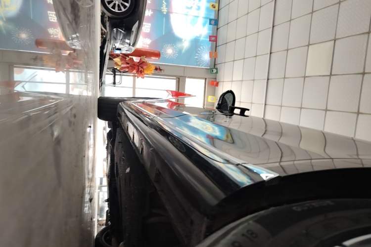 Used Hongqi H9 2020 2.0T Smart Connect Flagship Edition Left Side Sill