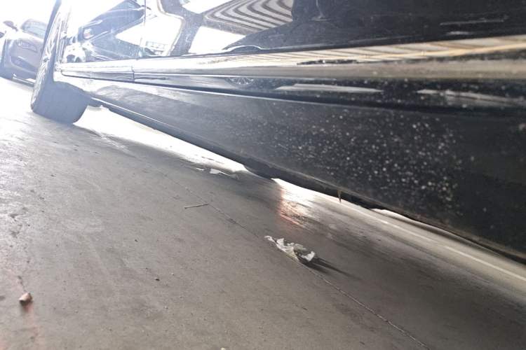 Used Hongqi H9 2020 2.0T Smart Connect Flagship Edition Left Side Sill