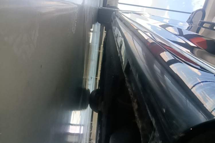 Used Hongqi H9 2020 2.0T Smart Connect Flagship Edition Left Side Sill