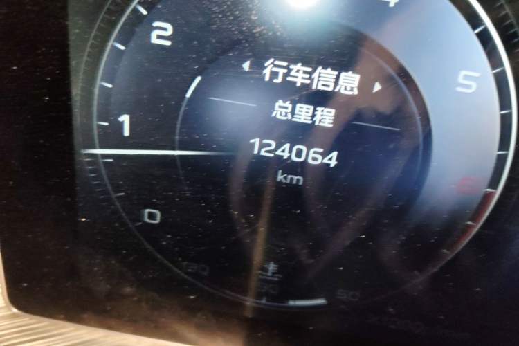 Used Hongqi H9 2020 2.0T Smart Connect Flagship Edition Odometer Close Up