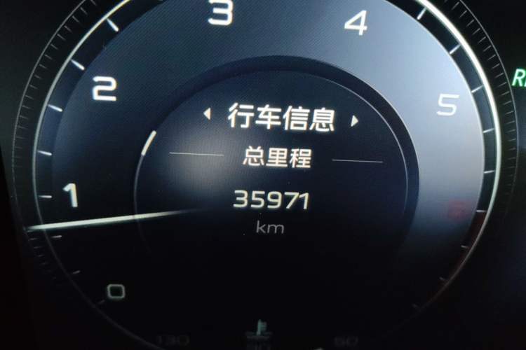 Used Hongqi H9 2020 2.0T Smart Connect Flagship Edition Odometer Close Up