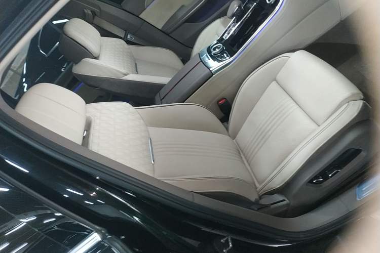 Used Hongqi H9 2020 3.0T Smart Connect Flagship Edition Right Front Seat