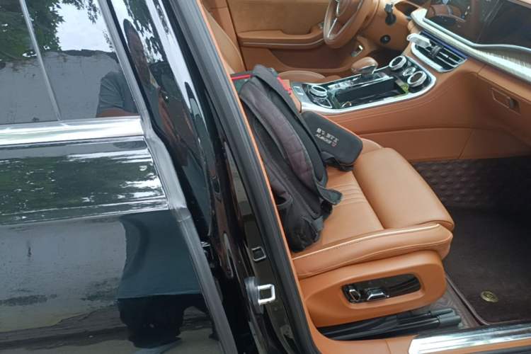 Used Hongqi H9 2020 2.0T Smart Connect Flagship Edition Right Front Seat