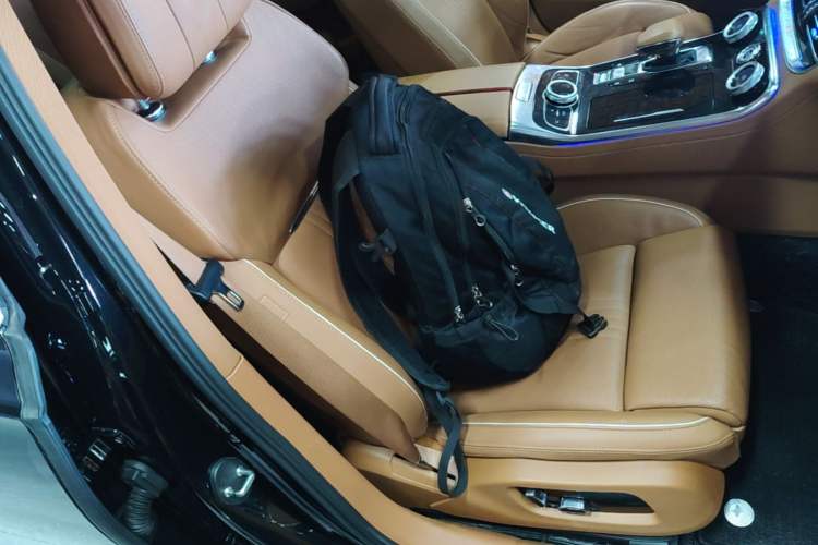 Used Hongqi H9 2020 2.0T Smart Connect Flagship Edition Right Front Seat