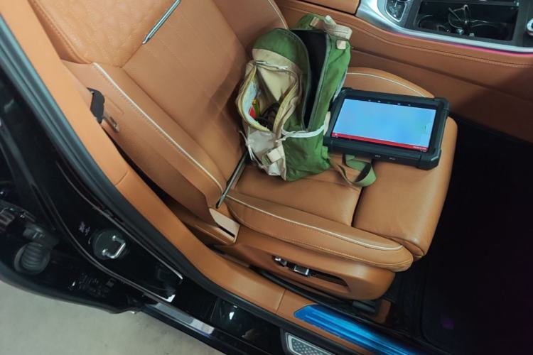 Used Hongqi H9 2020 3.0T Smart Connect Flagship Edition Right Front Seat