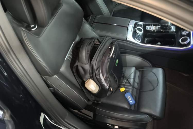 Used Hongqi H9 2020 2.0T Smart Connect Flagship Edition Right Front Seat