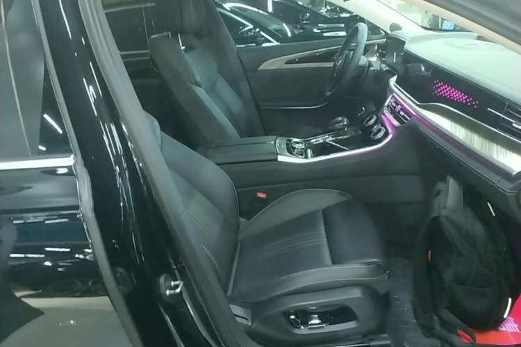 Used Hongqi H9 2020 Revised Version 2.0T Smart Connect Flagship Edition Right Front Seat
