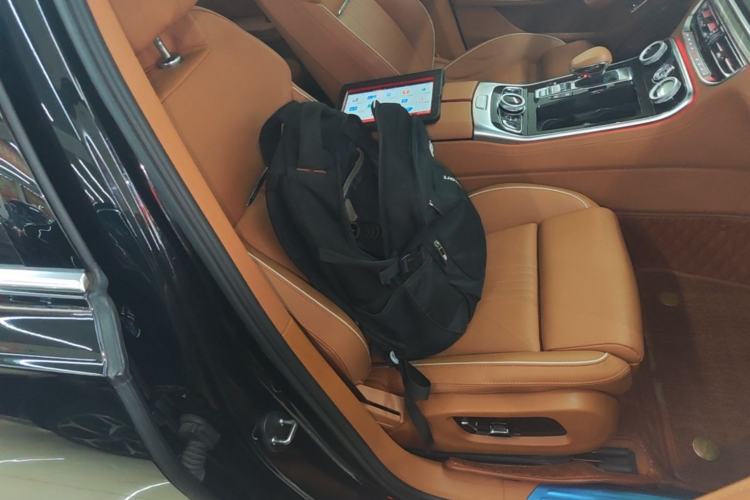 Used Hongqi H9 2020 2.0T Smart Connect Flagship Edition Right Front Seat