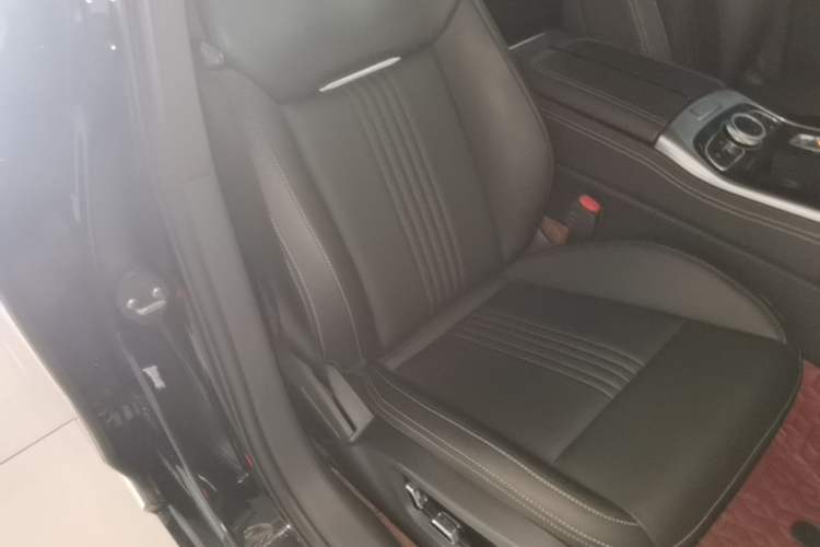 Used Hongqi H9 2020 2.0T Smart Connect Flagship Edition Right Front Seat