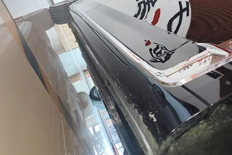 Used Hongqi H9 2020 3.0T Smart Connect Flagship Edition Right Side Sill