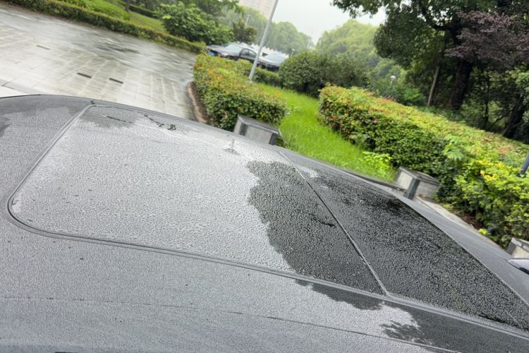 Used Hongqi H9 2020 2.0T Smart Connect Flagship Edition Roof