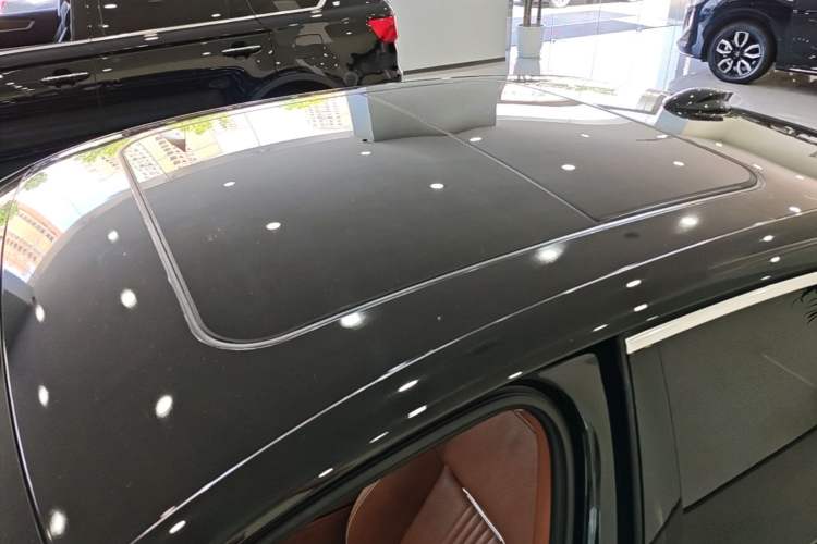 Used Hongqi H9 2020 2.0T Smart Connect Flagship Edition Roof