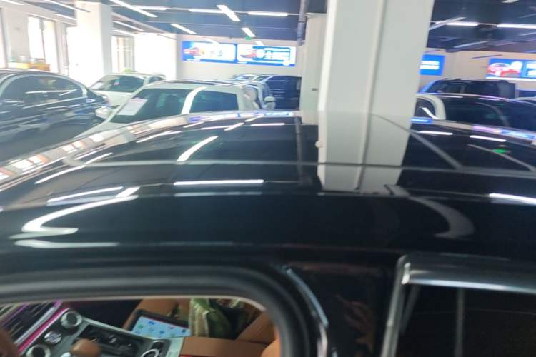 Used Hongqi H9 2020 3.0T Smart Connect Flagship Edition Roof