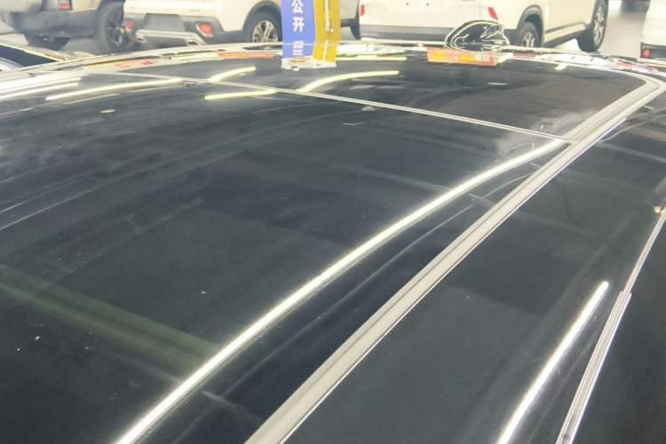 Used Hongqi H9 2020 2.0T Smart Connect Flagship Edition Roof