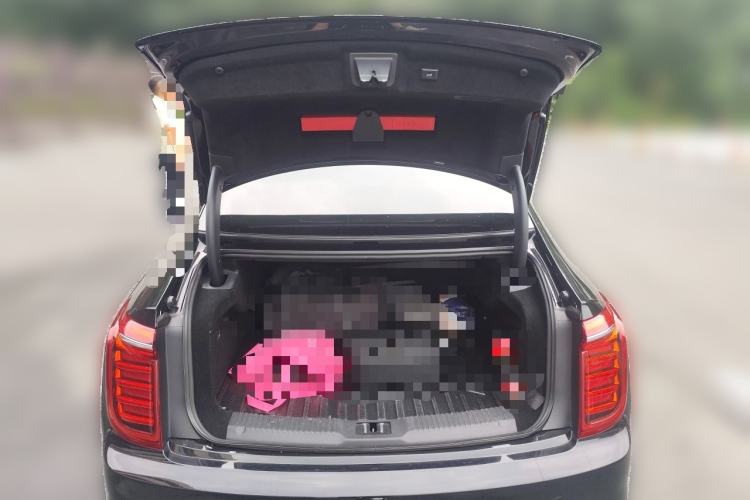 Used Hongqi H9 2020 2.0T Smart Connect Flagship Edition Trunk