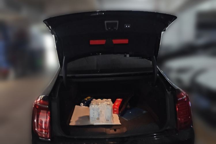 Used Hongqi H9 2020 2.0T Smart Connect Flagship Edition Trunk