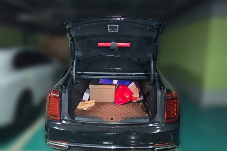 Used Hongqi H9 2020 2.0T Smart Connect Flagship Edition Trunk