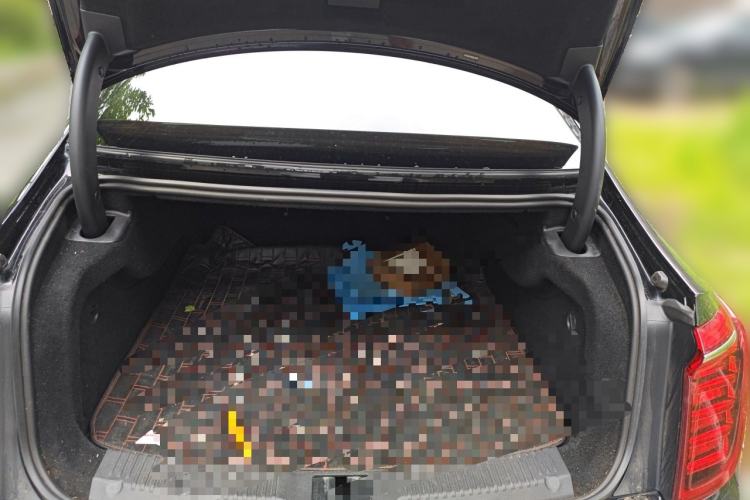 Used Hongqi H9 2020 2.0T Smart Connect Flagship Edition Trunk