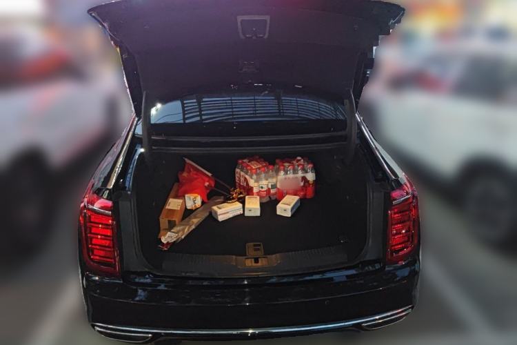 Used Hongqi H9 2020 2.0T Smart Connect Flagship Edition Trunk