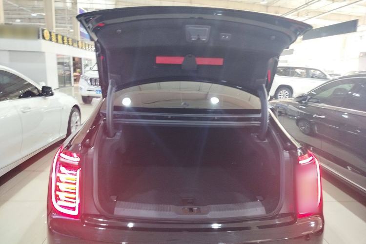 Used Hongqi H9 2020 2.0T Smart Connect Flagship Edition Trunk