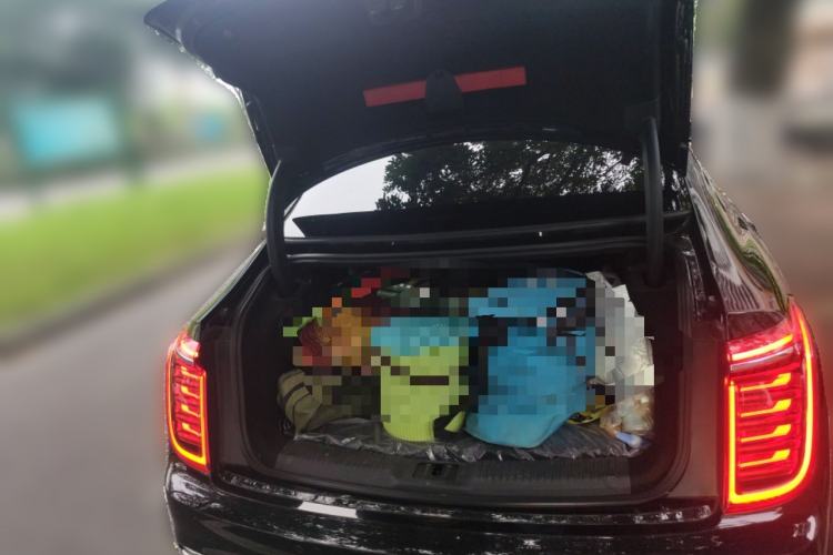 Used Hongqi H9 2020 2.0T Smart Connect Flagship Edition Trunk