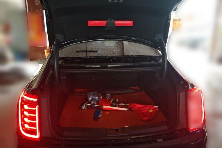 Used Hongqi H9 2020 2.0T Smart Connect Flagship Edition Trunk