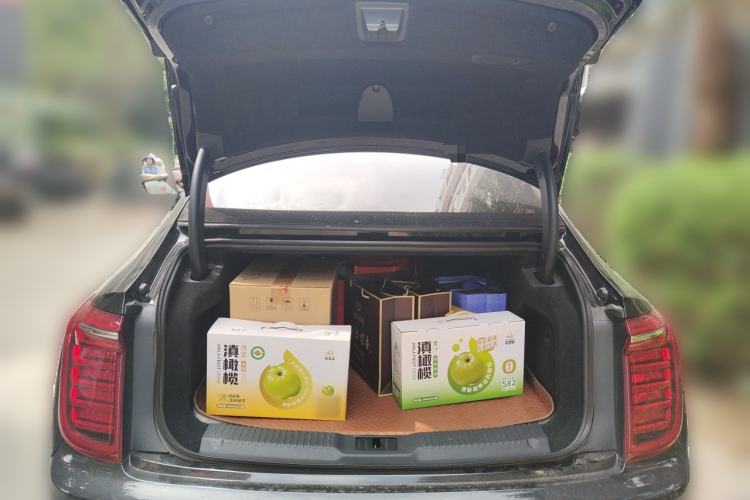 Used Hongqi H9 2020 2.0T Smart Connect Flagship Edition Trunk