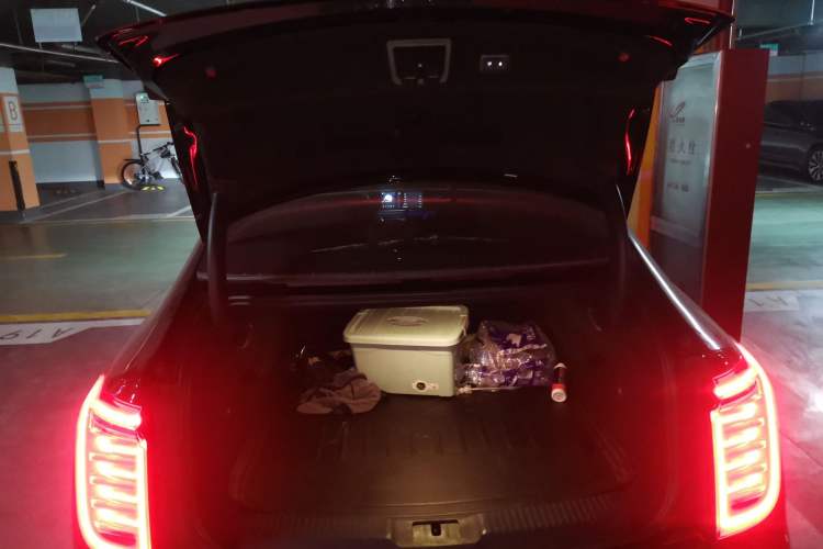 Used Hongqi H9 2020 2.0T Smart Connect Flagship Edition Trunk