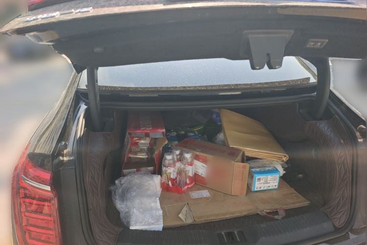 Used Hongqi H9 2020 Revised Version 2.0T Smart Connect Flagship Edition Trunk