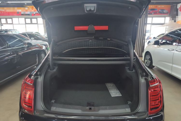 Used Hongqi H9 2020 2.0T Smart Connect Flagship Edition Trunk
