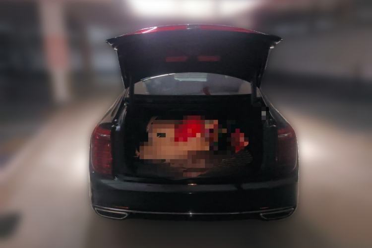 Used Hongqi H9 2020 2.0T Smart Connect Flagship Edition Trunk