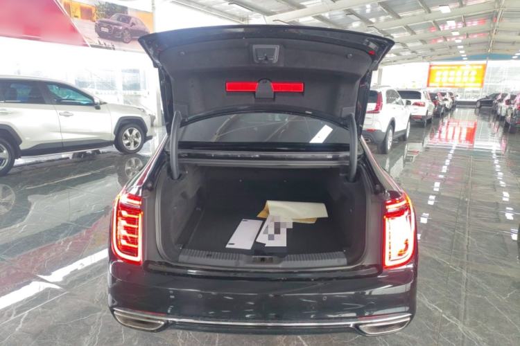 Used Hongqi H9 2020 2.0T Smart Connect Flagship Edition Trunk