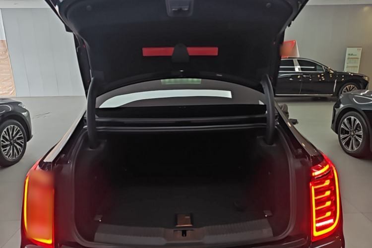 Used Hongqi H9 2020 2.0T Smart Connect Flagship Edition Trunk