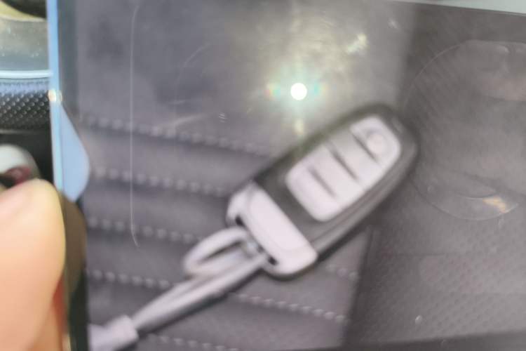 Used Hongqi H9 2020 2.0T Smart Connect Flagship Edition Vehicle Key