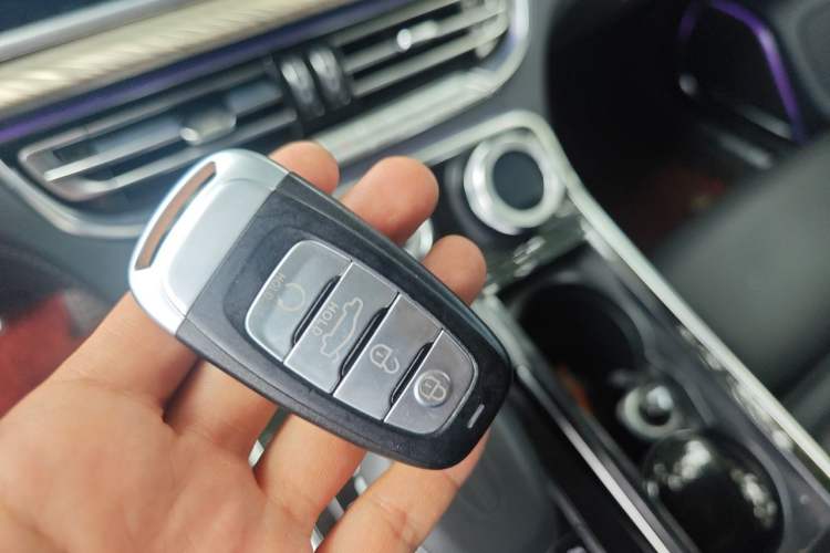 Used Hongqi H9 2020 3.0T Smart Connect Flagship Edition Vehicle Key