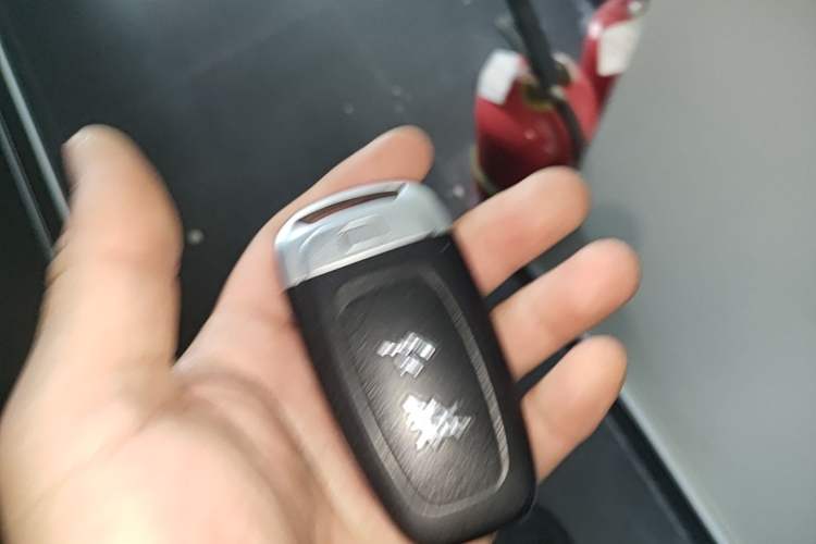 Used Hongqi H9 2020 3.0T Smart Connect Flagship Edition Vehicle Key