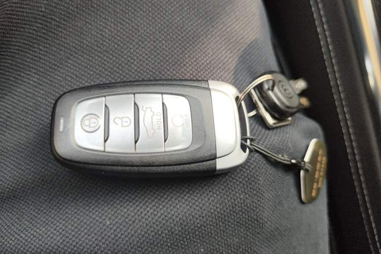 Used Hongqi H9 2020 2.0T Smart Connect Flagship Edition Vehicle Key