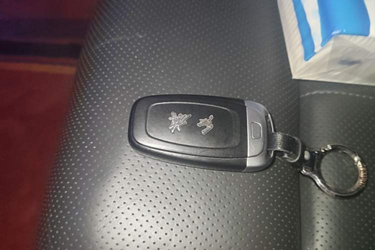 Used Hongqi H9 2020 3.0T Smart Connect Flagship Edition Vehicle Key