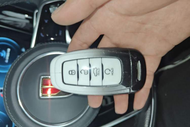 Used Hongqi H9 2020 2.0T Smart Connect Flagship Edition Vehicle Key