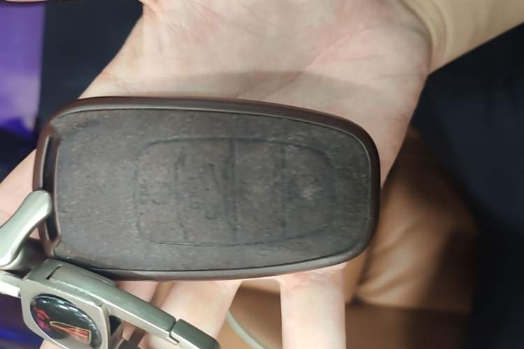 Used Hongqi H9 2020 2.0T Smart Connect Flagship Edition Vehicle Key