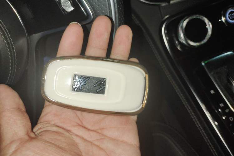 Used Hongqi H9 2020 2.0T Smart Connect Flagship Edition Vehicle Key