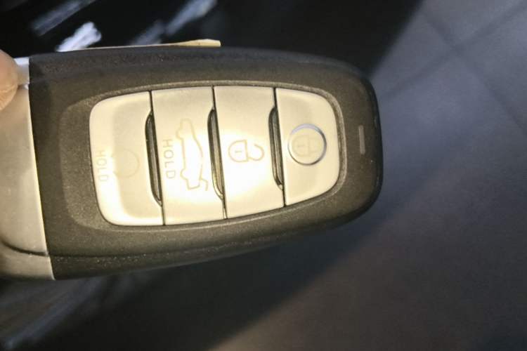 Used Hongqi H9 2020 2.0T Smart Connect Flagship Edition Vehicle Key