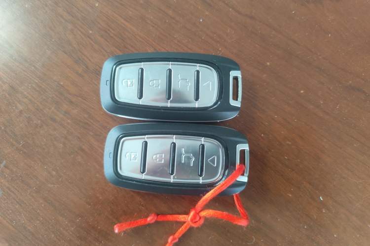 Used Hongqi H9 2020 2.0T Smart Connect Flagship Edition Vehicle Key