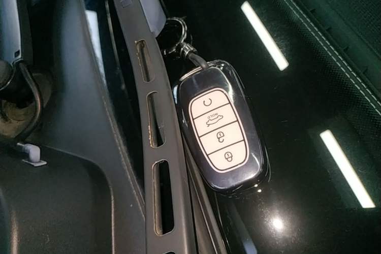 Used Hongqi H9 2020 Revised Version 2.0T Smart Connect Flagship Edition Vehicle Key
