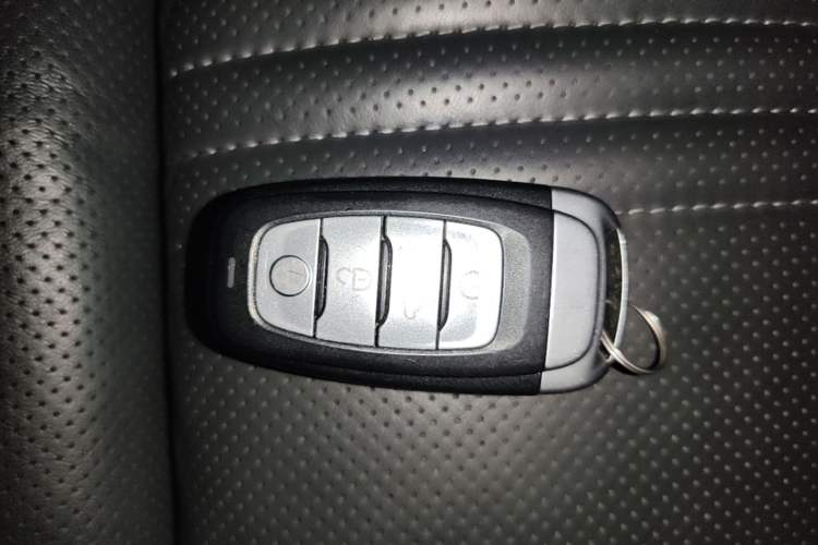 Used Hongqi H9 2020 3.0T Smart Connect Flagship Four-Seat Version Vehicle Key