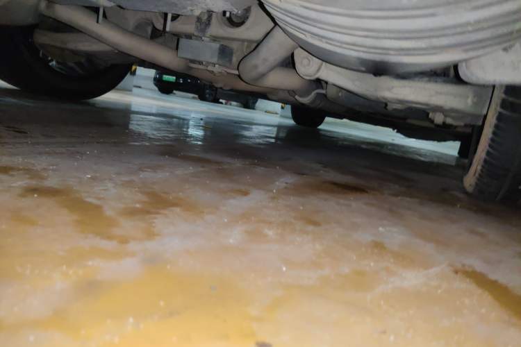 Used Hongqi H9 2020 2.0T Smart Connect Flagship Edition Chassis Rear Right